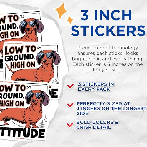 (3 Pack) Dachshund Decals - Funny Dog Stickers - Low to The Ground High On Attitude - 3 Inches On Longest Side - Easy Peel & Apply - Made in USA - 3MCS7294