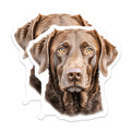 (2 Pack) Chocolate Labrador Magnets - Dog Lover Decor - Lab Retriever Art - Pet Owner Fridge Accent - 5 Inches On Longest Side - Thick Durable Magnet - Made in USA - MAG25701