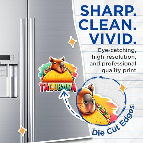 (2 Pack) Funny Capybara Magnets - Taco Capybara Magnets - Animal Food Magnets for Fridge Decor- 5" On Longest Side - for Fridges, Toolboxes, Cars - Made in USA - MAG2666