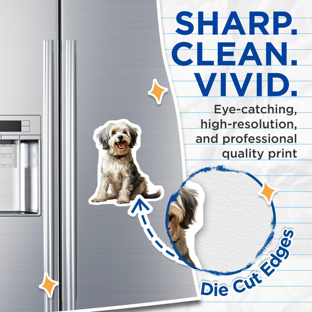 (2 Pack) Adorable Fluffy Dog Magnets - Happy Shaggy Puppy Fridge Decor - Pet Lover Kitchen Appliance Magnetic Art - 5 Inches On Longest Side - Thick Durable Magnet - Made in USA - MAG24589