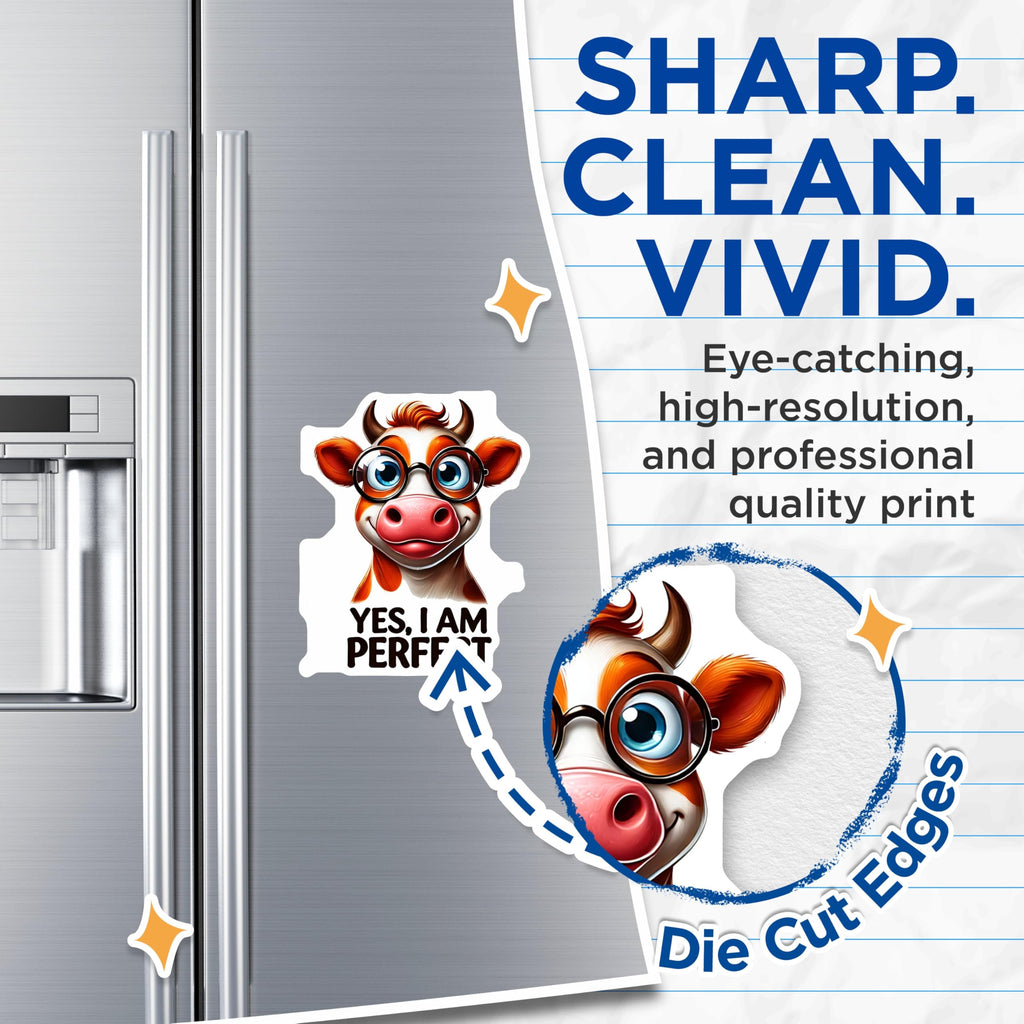 (2 Pack) Cow with Glasses Magnets - Funny Animal Decor - Quirky Refrigerator Art - 5" On Longest Side - Premium Magnet - for Cars, Refrigerators, Toolboxes, Lockers - Made in USA - MAG14526