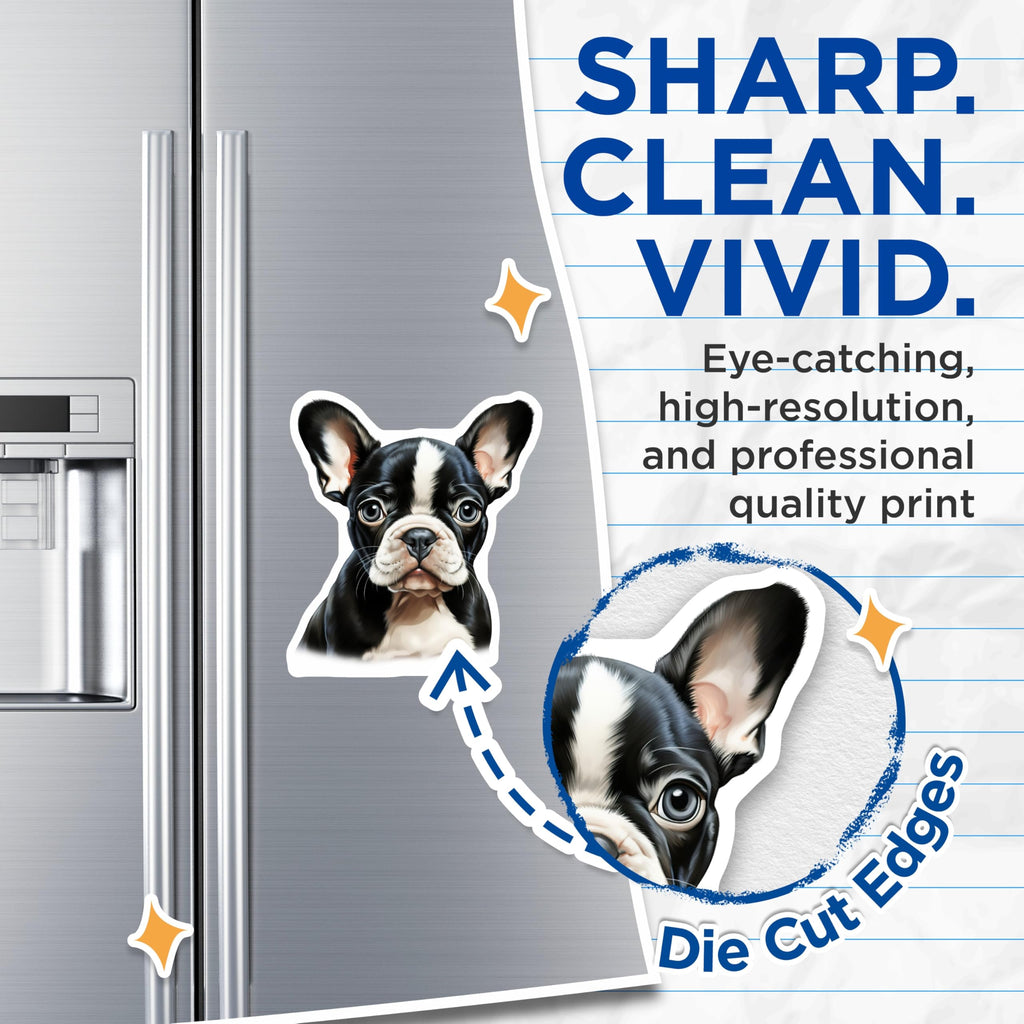 (2 Pack) Boston Terrier Puppy Magnets - Cute Dog Lover Decor - Refrigerator Locker Accents - 5 Inches On Longest Side - Thick Durable Magnet - Made in USA - MAG28012