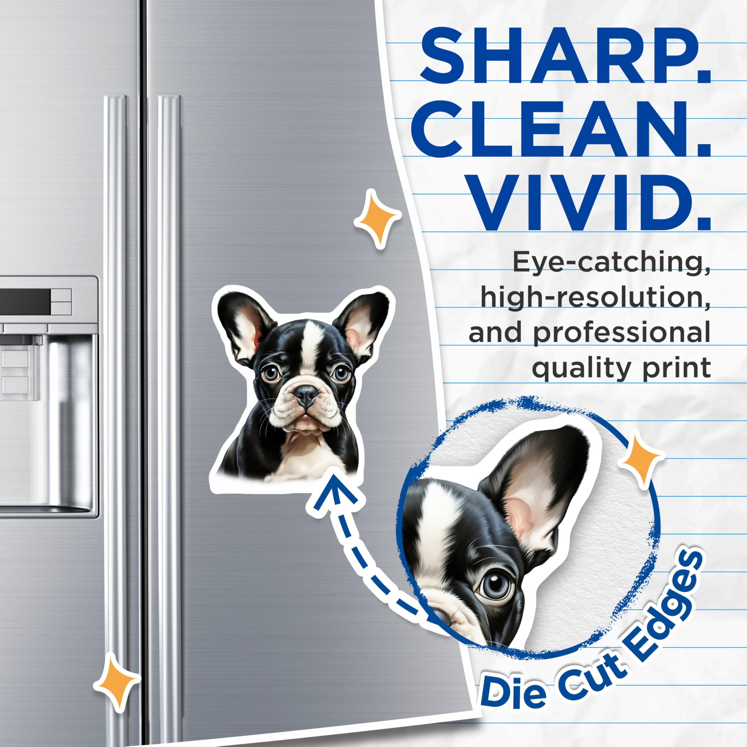 (2 Pack) Boston Terrier Puppy Magnets - Cute Dog Lover Decor - Refrigerator Locker Accents - 5 Inches On Longest Side - Thick Durable Magnet - Made in USA - MAG28012