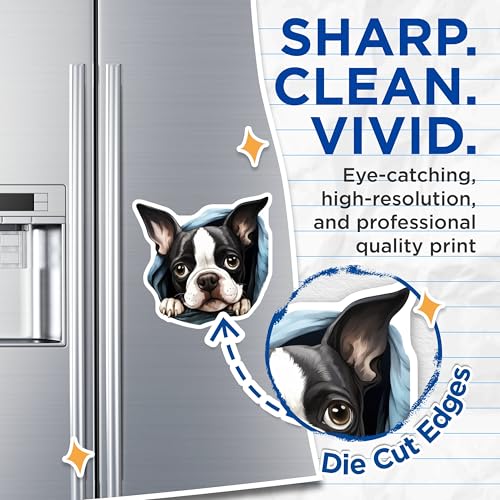 (2 Pack) Animal Lover Fridge Decor Magnet - Kitchen Accessories - 5" On Longest Side - Sticks to Smooth Flat Surfaces - Made in USA - MAG9884