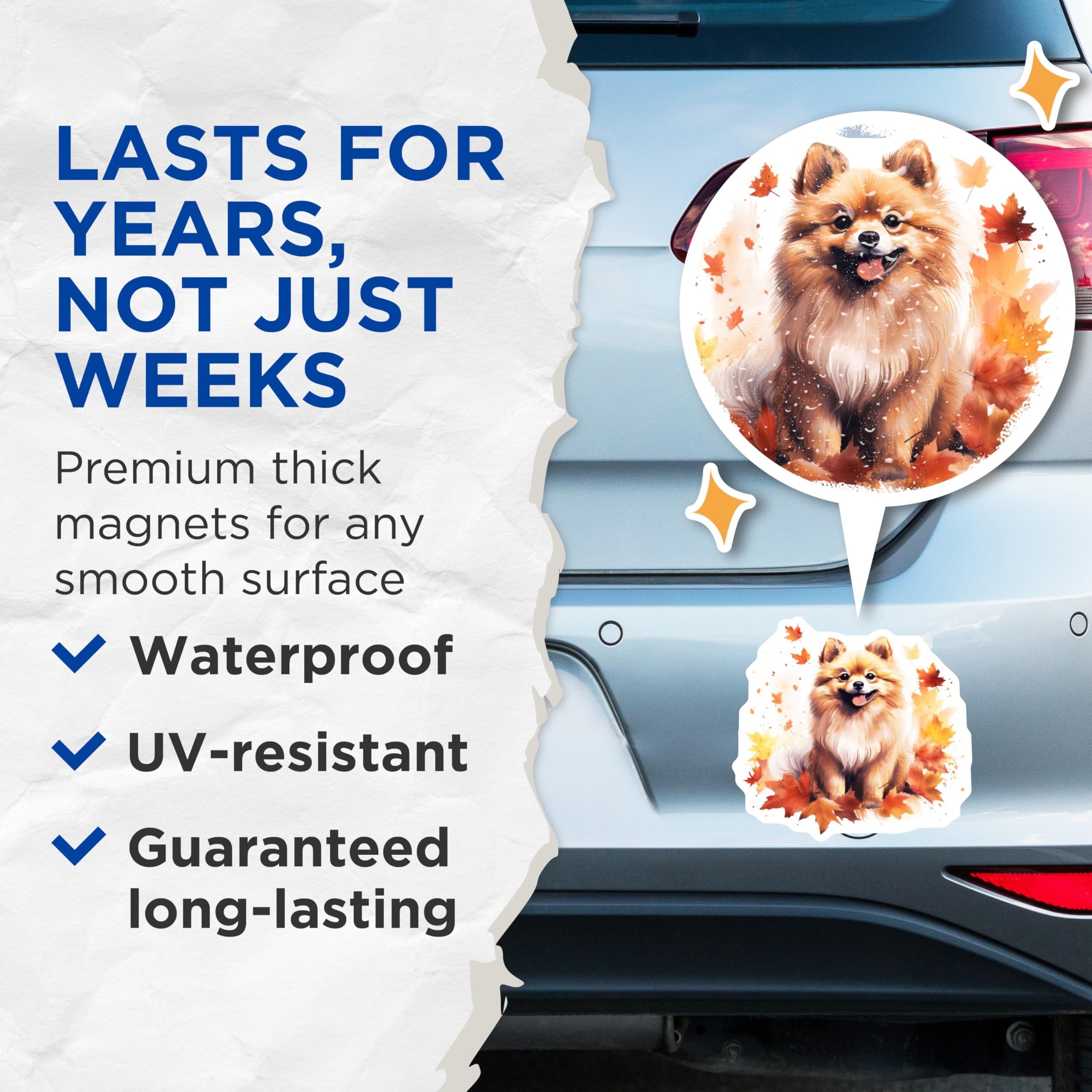 (2 Pack) Pomeranian Magnets - Cute Fall Dog Decor - Autumn Pet Lover Art - Seasonal Refrigerator Accessories - 5 Inches On Longest Side - Thick Durable Magnet - Made in USA - MAG26572
