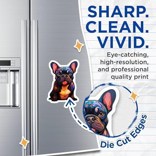 (2 Pack) French Bulldog Magnets - Cute Dog Magnet for Fridge - Animal Lover Ative Magnet - 5" On Longest Side - for Cars, Fridges, Toolboxes - Made in USA - MAG3941