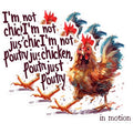 (3 Pack) Chicken Decals - Funny Chicken Quote - Laptop Decal - 3 Inches On Longest Side - Easy Peel & Apply - Made in USA - 3MCS1457