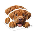 (2 Pack) Adorable Dog Stickers - Cute Puppy Illustration - Animal Lover Decals - 5" On Longest Side - Sticks to Smooth Flat Surfaces - Made in USA - BMCS9970