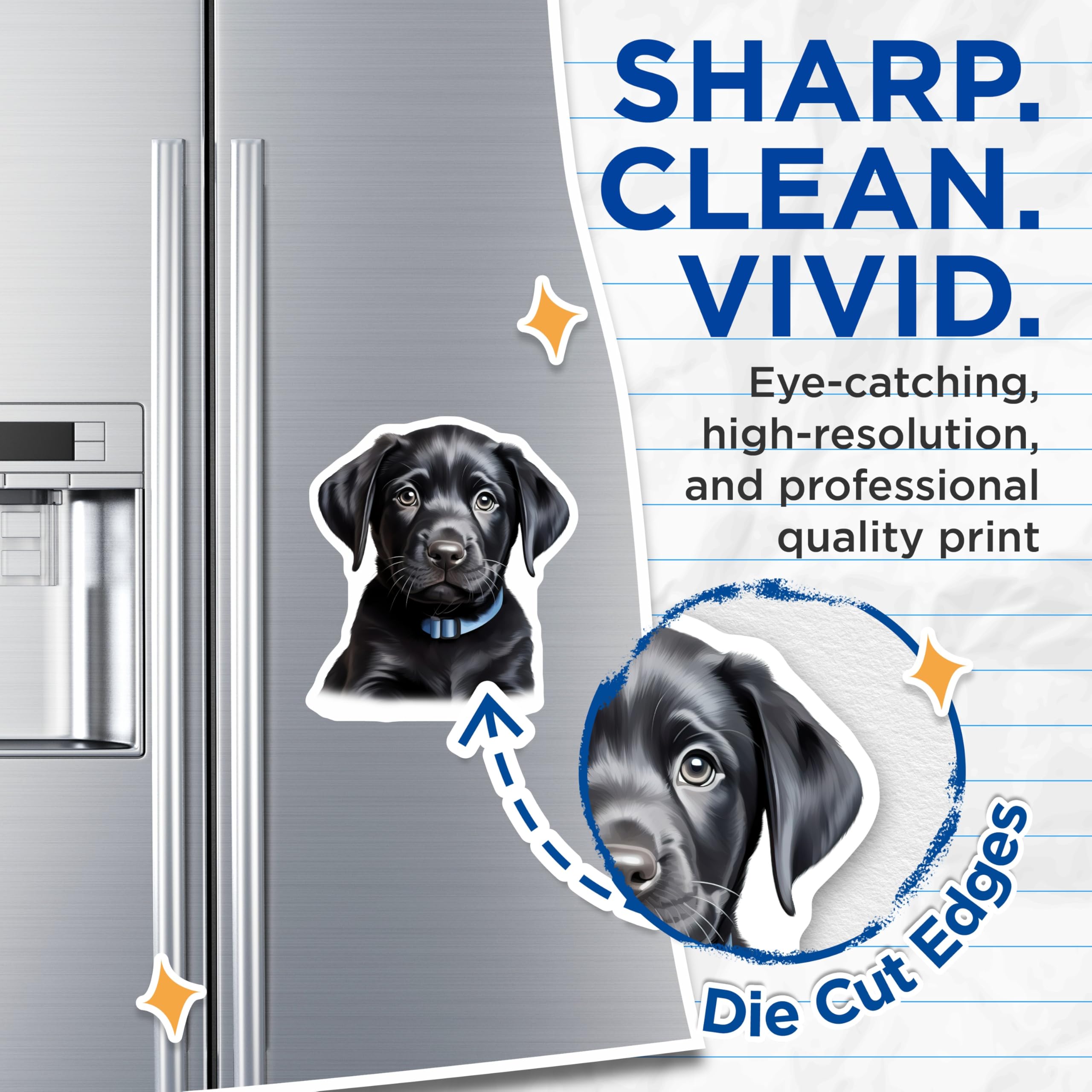 (2 Pack) Black Lab Puppy Magnets - Cute Labrador Retriever Dog Lover Collectible - Pet Owner Refrigerator Decor - 5 Inches On Longest Side - Thick Durable Magnet - Made in USA - MAG25078