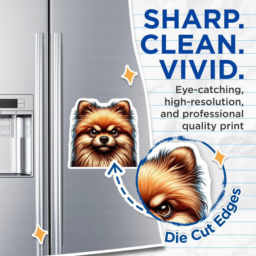 (2 Pack) Pomeranian Dog Magnets - Grumpy Pomeranian Decor - Cute Puppy Magnets - 5" On Longest Side - Premium Magnet - for Cars, Refrigerators, Toolboxes, Lockers - Made in USA - MAG15040