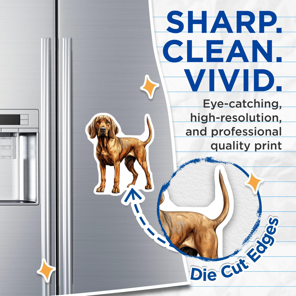 (2 Pack) Bloodhound Dog Magnets - Realistic Hound Lover Refrigerator Magnets - Pet Parent Decor for Home Kitchen - 5 Inches On Longest Side - Thick Durable Magnet - Made in USA - MAG30670