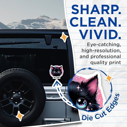 (2 Pack) Cat Stickers - Cute Cat Art - Funny Cat Sticker - 5" On Longest Side - Sticks to Smooth Flat Surfaces - Made in USA - BMCS4594