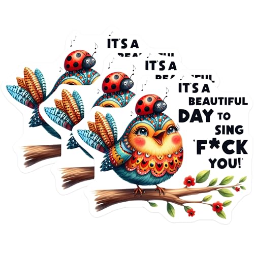 (3 Pack) Funny Bird Decals - Offensive Humor Laptop Decal - Sarcastic Song Lyrics Decals - 3 Inches On Longest Side - Easy Peel & Apply - Made in USA - 3MCS4661