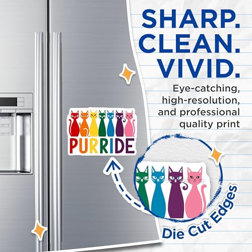 (2 Pack) Pride Cat Decorations Magnet - 5" On Longest Side - Sticks to Smooth Flat Surfaces - Made in USA - MAG9545