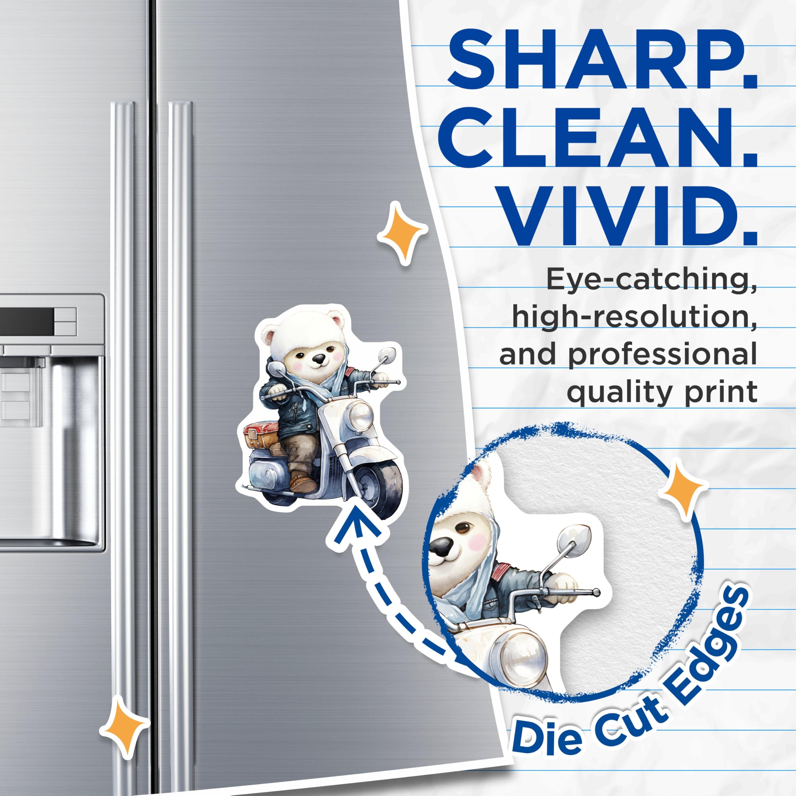 (2 Pack) Bear on Scooter Magnets - Cute Animal - Funny Vehicle Refrigerator Magnets - 5" On Longest Side - Premium Magnet - for Cars, Refrigerators, Toolboxes, Lockers - Made in USA - MAG17023