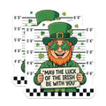 (2 Pack) St Patricks Day Magnets - Irish Leprechaun Mugshot - Lucky Irish Quote Magnet - 5" On Longest Side - Premium Magnet - for Cars, Refrigerators, Toolboxes, Lockers - Made in USA - MAG16688