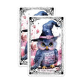 (2 Pack) Owl Witch Stickers - Cute Owl Witch Stickers - Halloween Owl Stickers - 5" On Longest Side - Sticks to Any Smooth Flat Surface - Made in USA - BMCS3592