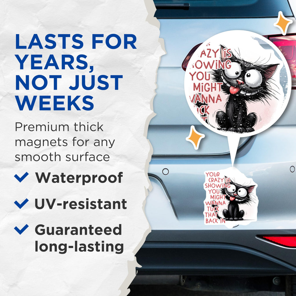 (2 Pack) Crazy Cat Magnets - Funny Quote Magnet - Quirky Refrigerator Magnet - 5" On Longest Side - Premium Magnet - for Cars, Refrigerators, Toolboxes, Lockers - Made in USA - MAG15320