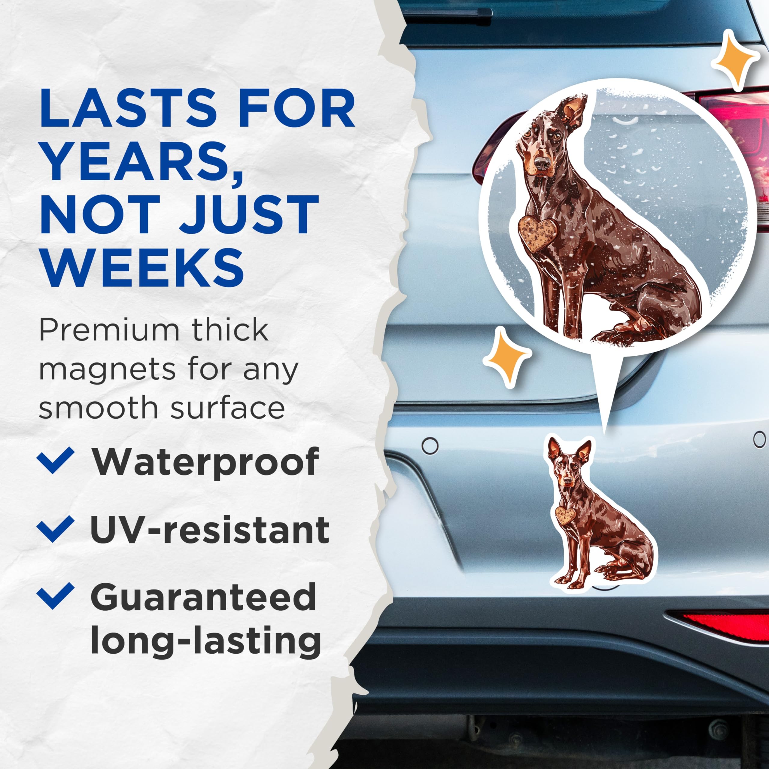 (2 Pack) Miniature Pinscher Magnets - Brown Dog Art - Heart Dog Breed Decor - 5" On Longest Side - Premium Magnet - for Cars, Refrigerators, Toolboxes, Lockers - Made in USA - MAG16619
