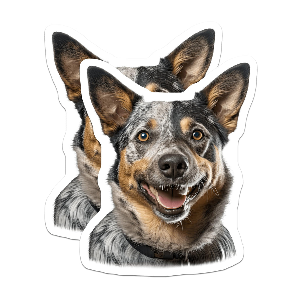(2 Pack) Australian Cattle Dog Magnets - Blue Heeler Smiling - Happy Dog Lover Kitchen Decor - 5 Inches On Longest Side - Thick Durable Magnet - Made in USA - MAG29334