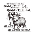 (2 Pack) You're Either A Smart Fella Or A Fart Smella Magnets - Funny Humor Comedy Magnet - 5 Inches On Longest Side - Premium Decal - for Cars, Refrigerators, Toolboxes - Made in USA - MAG2009