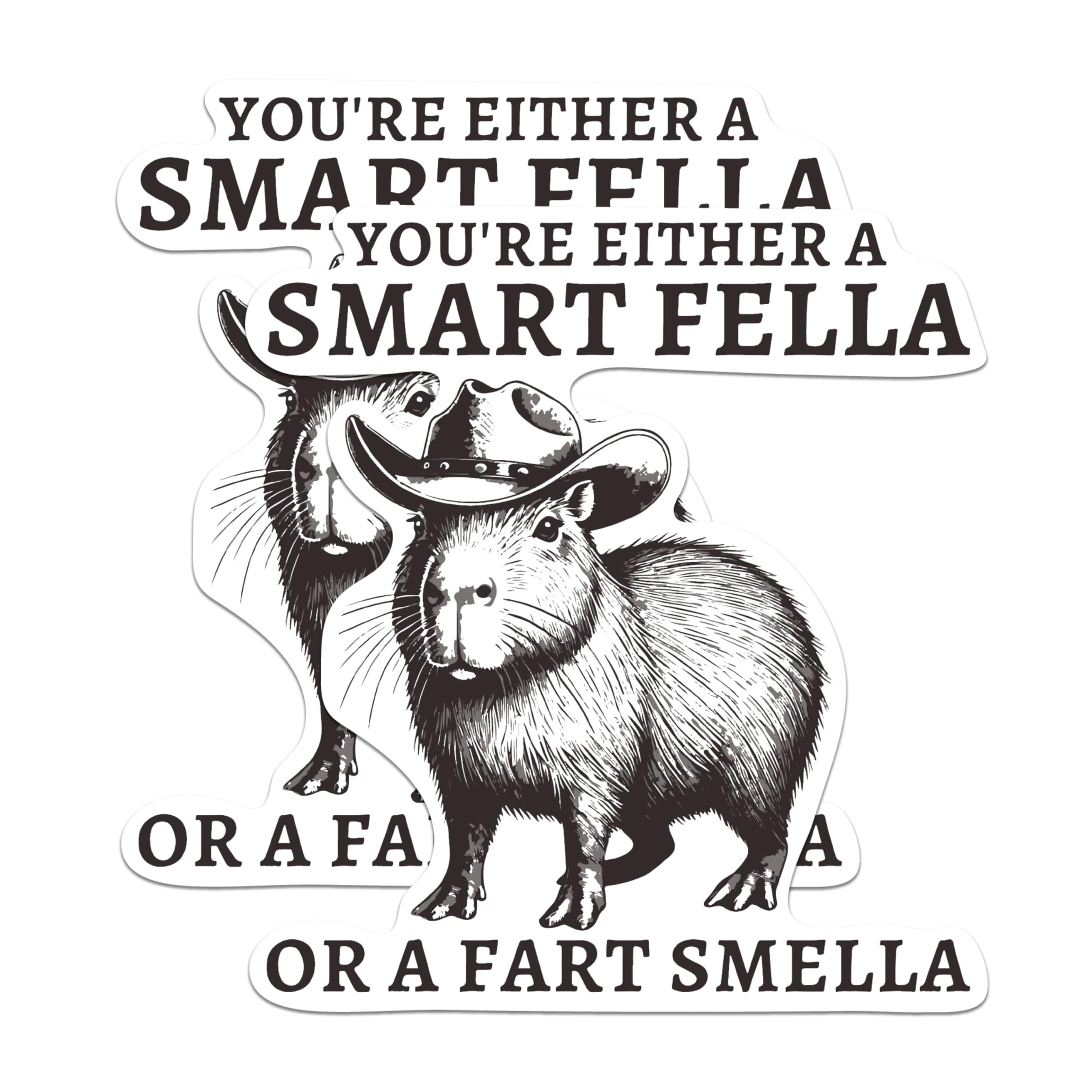 (2 Pack) You're Either A Smart Fella Or A Fart Smella Magnets - Funny Humor Comedy Magnet - 5 Inches On Longest Side - Premium Decal - for Cars, Refrigerators, Toolboxes - Made in USA - MAG2009