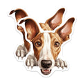 (2 Pack) Animal Lover Decor Magnet - 5" On Longest Side - Sticks to Smooth Flat Surfaces - Made in USA - MAG10196