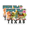 (2 Pack) Texas Stickers - TX Decal - Lone Star State - Western Theme Sticker - Southwest Vinyl Stickers - 5" On Longest Side - Sticks to Smooth Flat Surfaces - Made in USA - BMCS5810