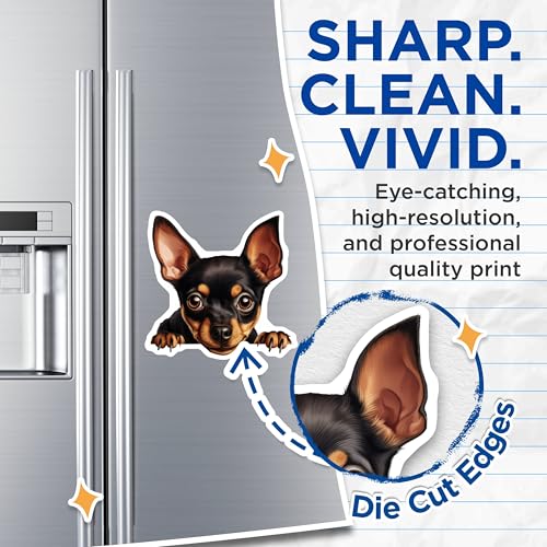 (2 Pack) Animal Lover Decor Magnet - Dog Lover Accessories - 5" On Longest Side - Sticks to Smooth Flat Surfaces - Made in USA - MAG10228