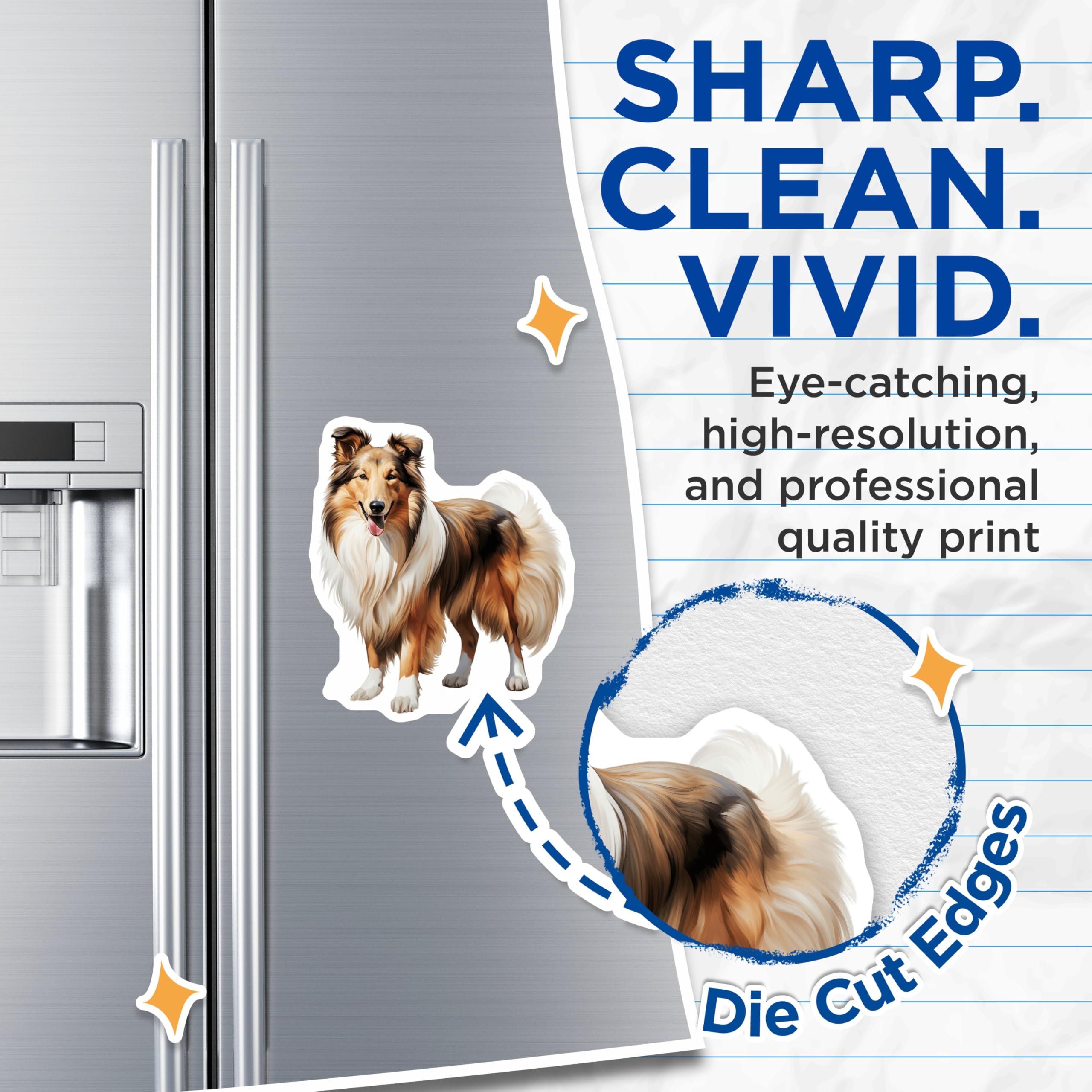 (2 Pack) Rough Collie Magnets - Dog Lover Decor - Pet Breed Collection - 5 Inches On Longest Side - Thick Durable Magnet - Made in USA - MAG27118