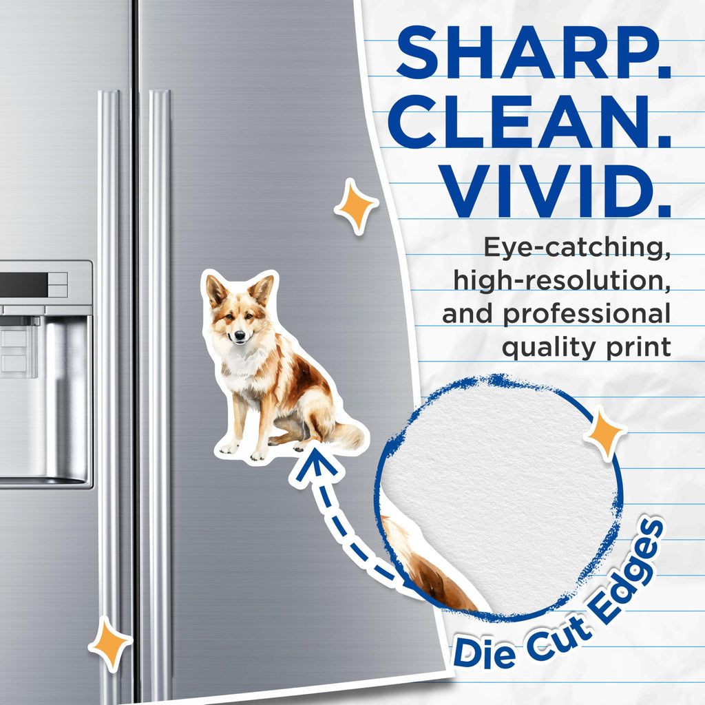 (2 Pack) Watercolor Dog Magnets - Sheltie Collie Pet Art - Dog Lover Fridge Kitchen Decor - 5 Inches On Longest Side - Thick Durable Magnet - Made in USA - MAG26187