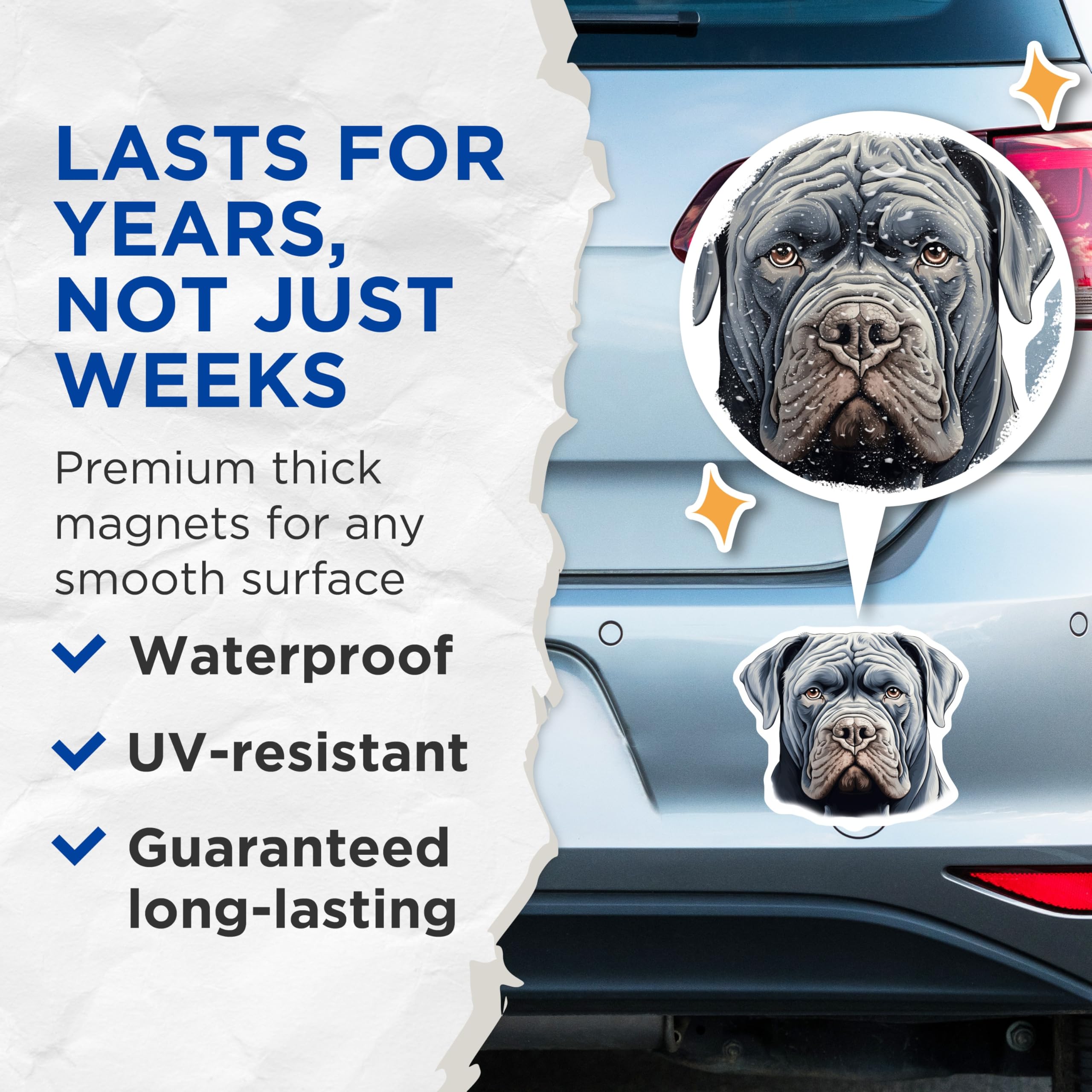 (2 Pack) Neapolitan Mastiff Magnets - Dog Mom Dad Decor - Animal Lover Collectible - 5 Inches On Longest Side - Thick Durable Magnet - Made in USA - MAG27800