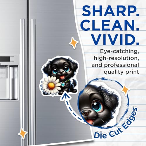(2 Pack) Animal Lover Collectible Magnet - 5" On Longest Side - Sticks to Smooth Flat Surfaces - Made in USA - MAG9397