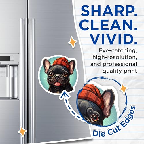 (2 Pack) French Bulldog Magnets - Frenchie Car Magnet - Cute Dog Magnet for Fridge and Locker - 5" On Longest Side - for Cars, Fridges, Toolboxes - Made in USA - MAG3937