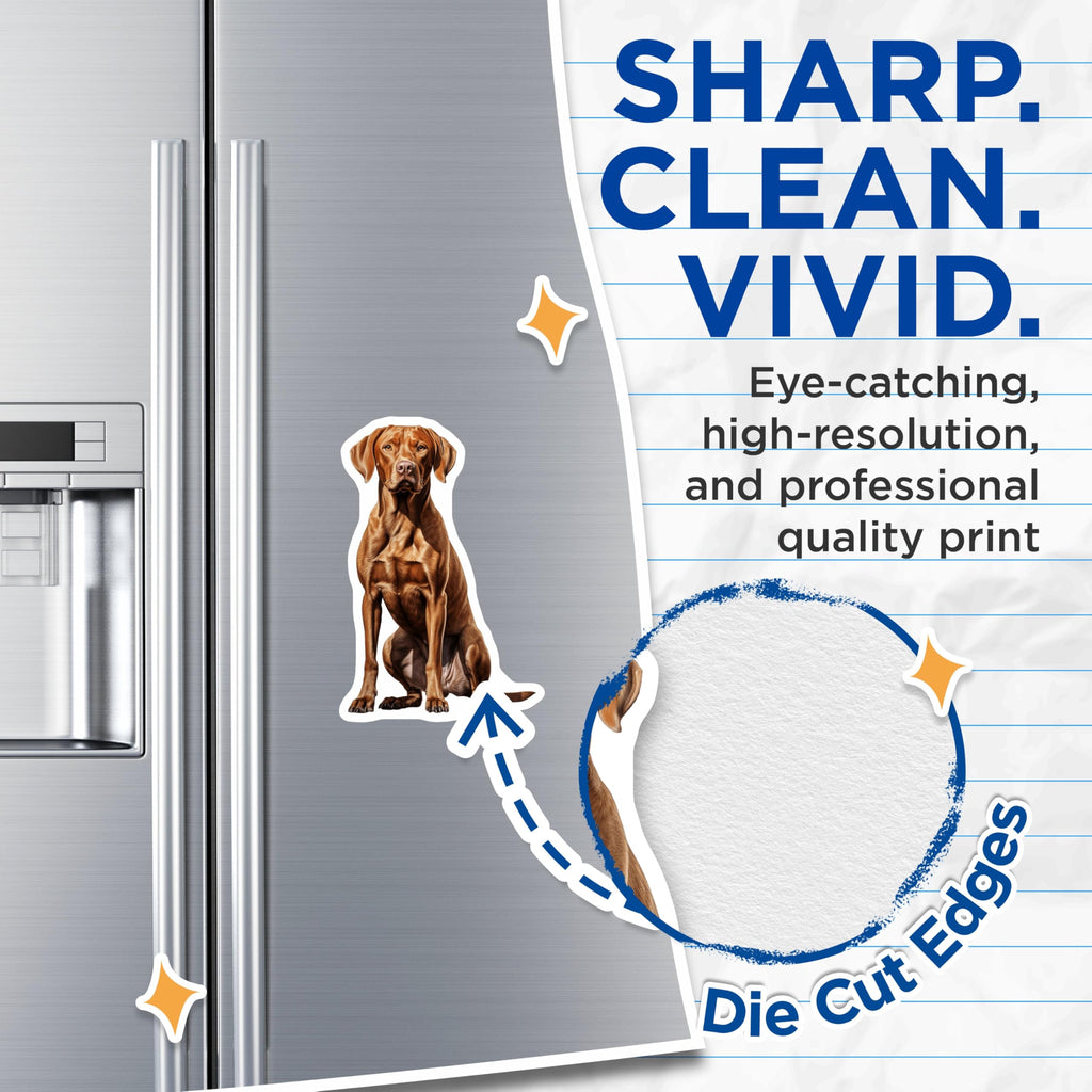 (2 Pack) Vizsla Dog Magnets - Realistic Vizsla Art - Pet Owner Home Decor - 5 Inches On Longest Side - Thick Durable Magnet - Made in USA - MAG30275