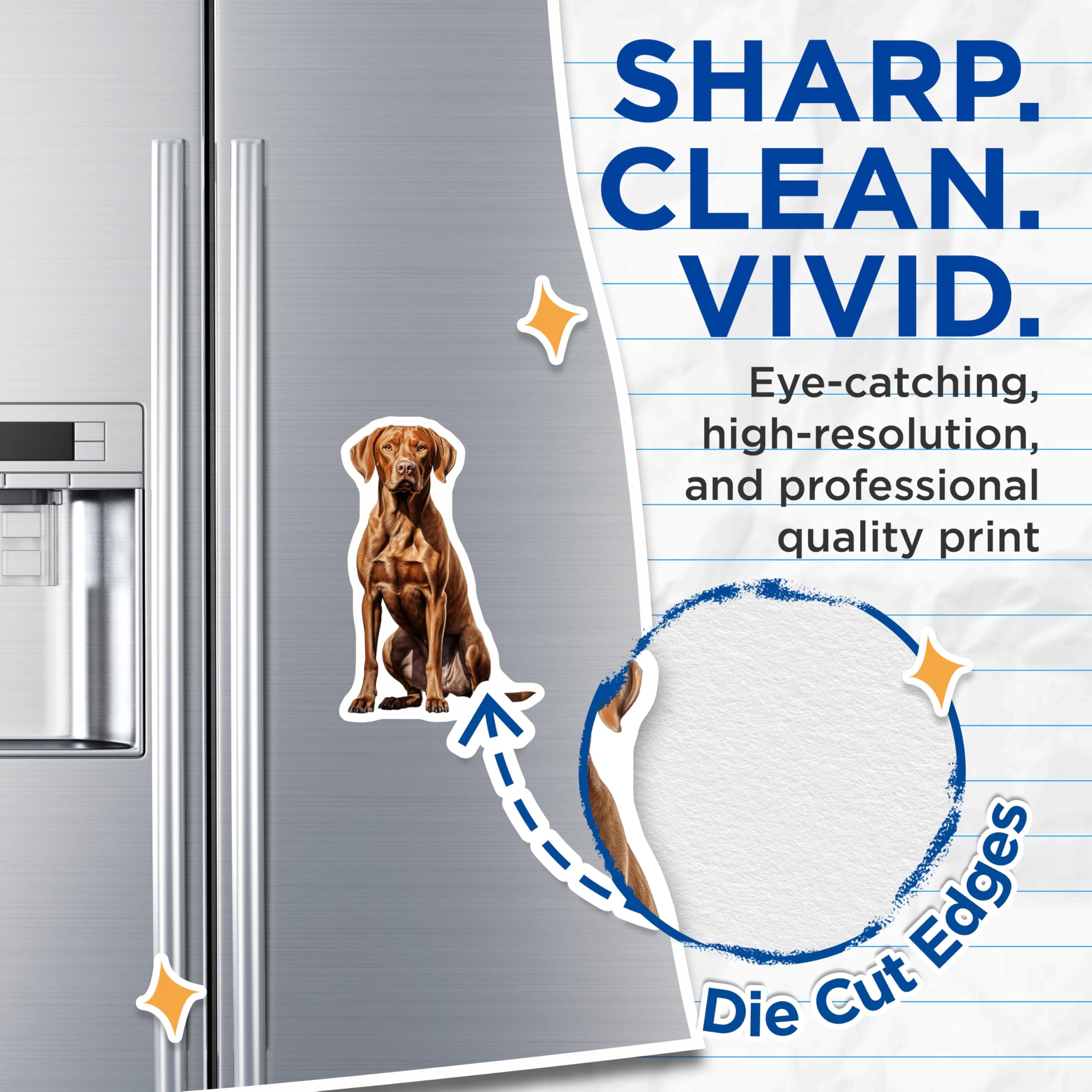 (2 Pack) Vizsla Dog Magnets - Realistic Vizsla Art - Pet Owner Home Decor - 5 Inches On Longest Side - Thick Durable Magnet - Made in USA - MAG30275