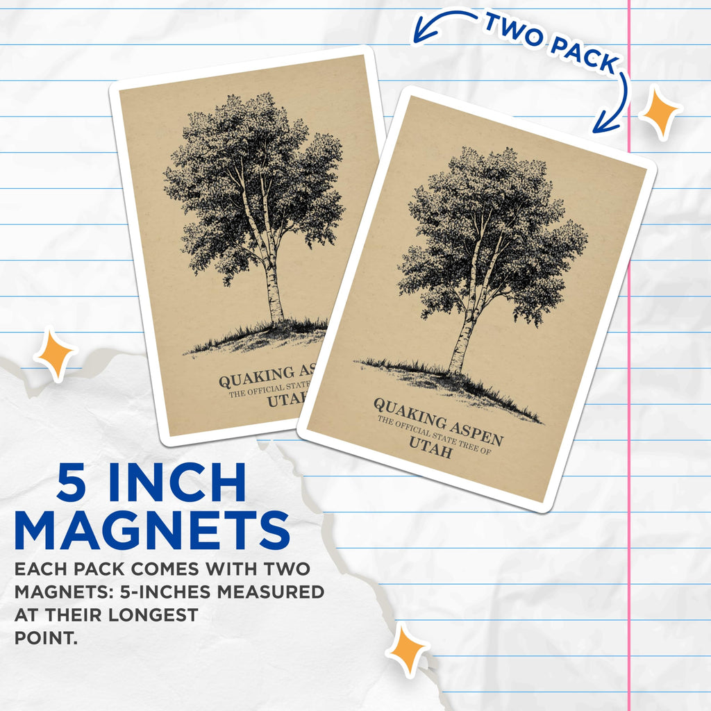 (2 Pack) Quaking Aspen Magnets - Utah State Tree Souvenir - Botanical Art Decoration - 5" On Longest Side - Premium Magnet - for Cars, Refrigerators, Toolboxes, Lockers - Made in USA - MAG17862