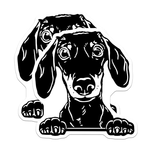 (2 Pack) Dachshund Dog Magnets - Cute Dog Lover - Fun Animal Accessories for Home and Kitchen - 5" On Longest Side - for Cars, Fridges, Toolboxes - Made in USA - MAG4048
