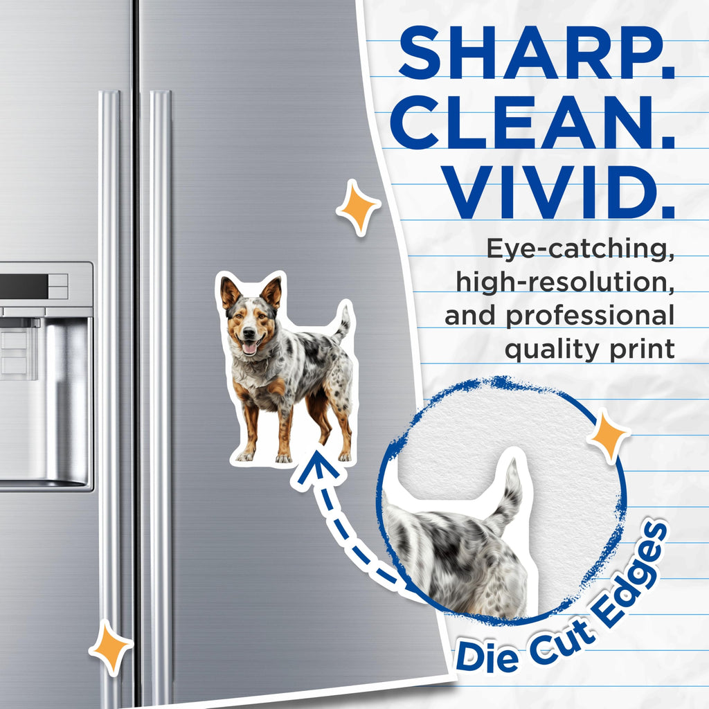 (2 Pack) Blue Heeler Dog Magnets - Australian Cattle Dog Lover - Farm Dog Kitchen Decor - Pet Parent Kennel Art - 5 Inches On Longest Side - Thick Durable Magnet - Made in USA - MAG25520