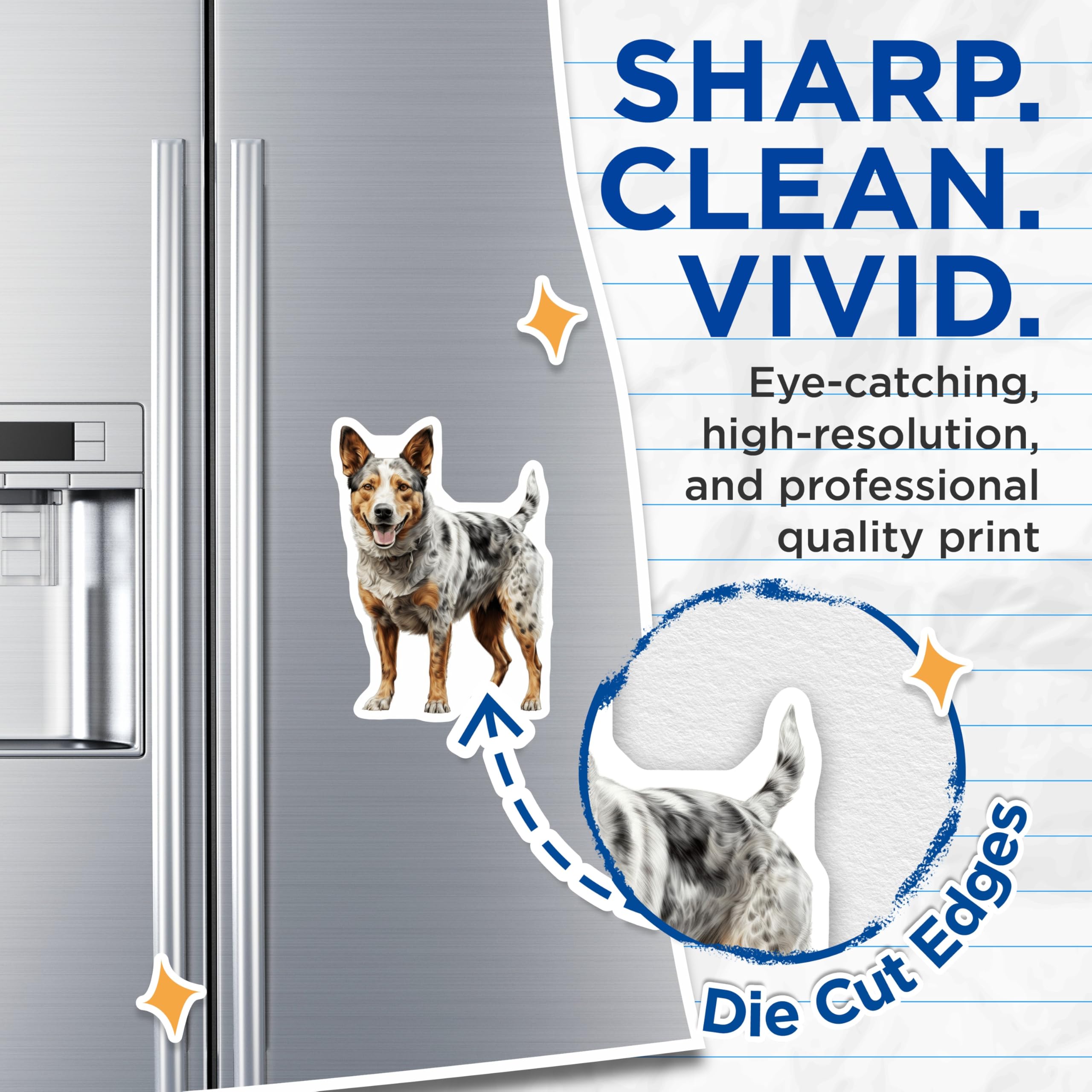 (2 Pack) Blue Heeler Dog Magnets - Australian Cattle Dog Lover - Farm Dog Kitchen Decor - Pet Parent Kennel Art - 5 Inches On Longest Side - Thick Durable Magnet - Made in USA - MAG25520