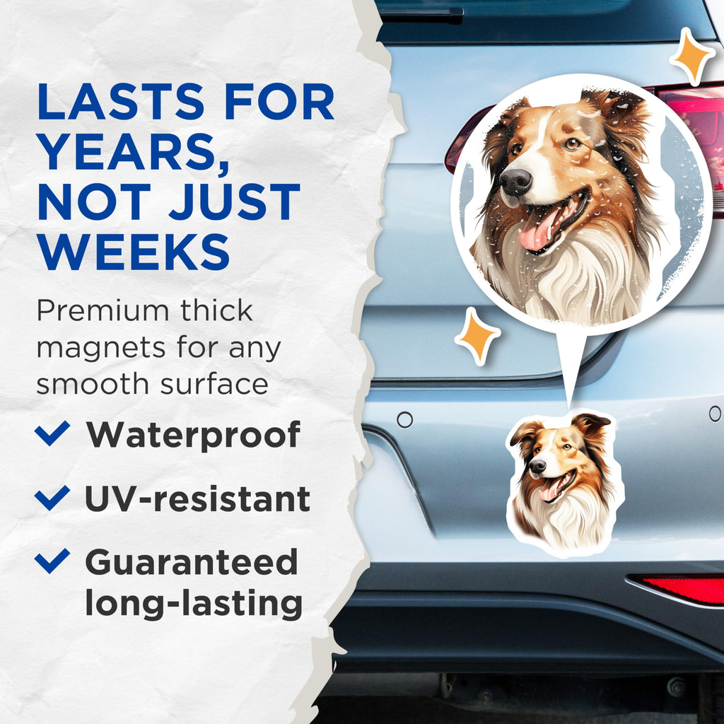 (2 Pack) Happy Collie Dog Magnets - Lifelike Pet Portrait Decor - Animal Lover Kitchen Refrigerator Magnets - 5 Inches On Longest Side - Thick Durable Magnet - Made in USA - MAG23855