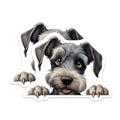 (2 Pack) Cute Schnauzer Dog Stickers - Dog Lover Decal - Adorable Pet Decor - 5" On Longest Side - Sticks to Smooth Flat Surfaces - Made in USA - BMCS9927