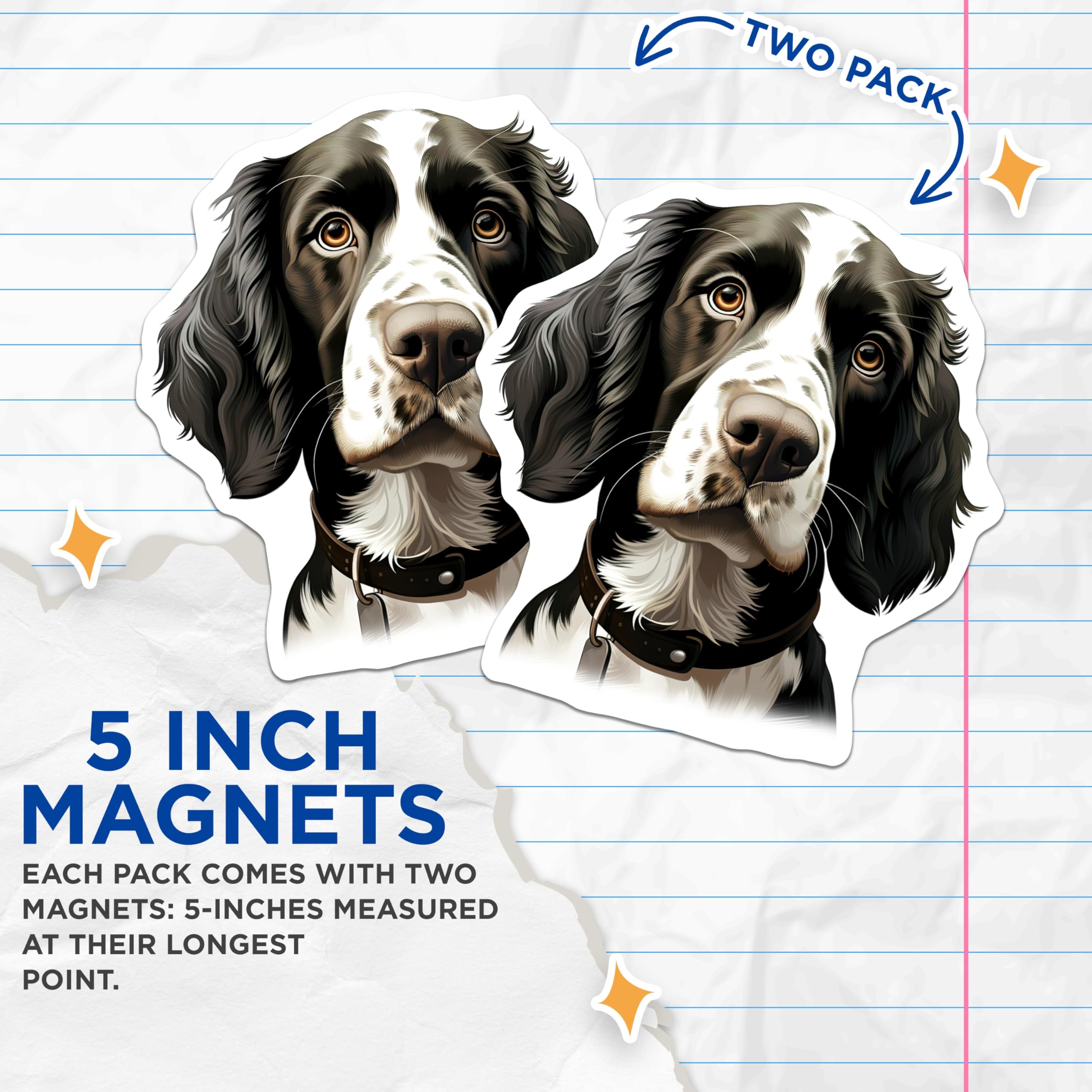 (2 Pack) Springer Spaniel Magnets - Realistic Dog Portrait - Animal Lover Decor - 5 Inches On Longest Side - Thick Durable Magnet - Made in USA - MAG25308