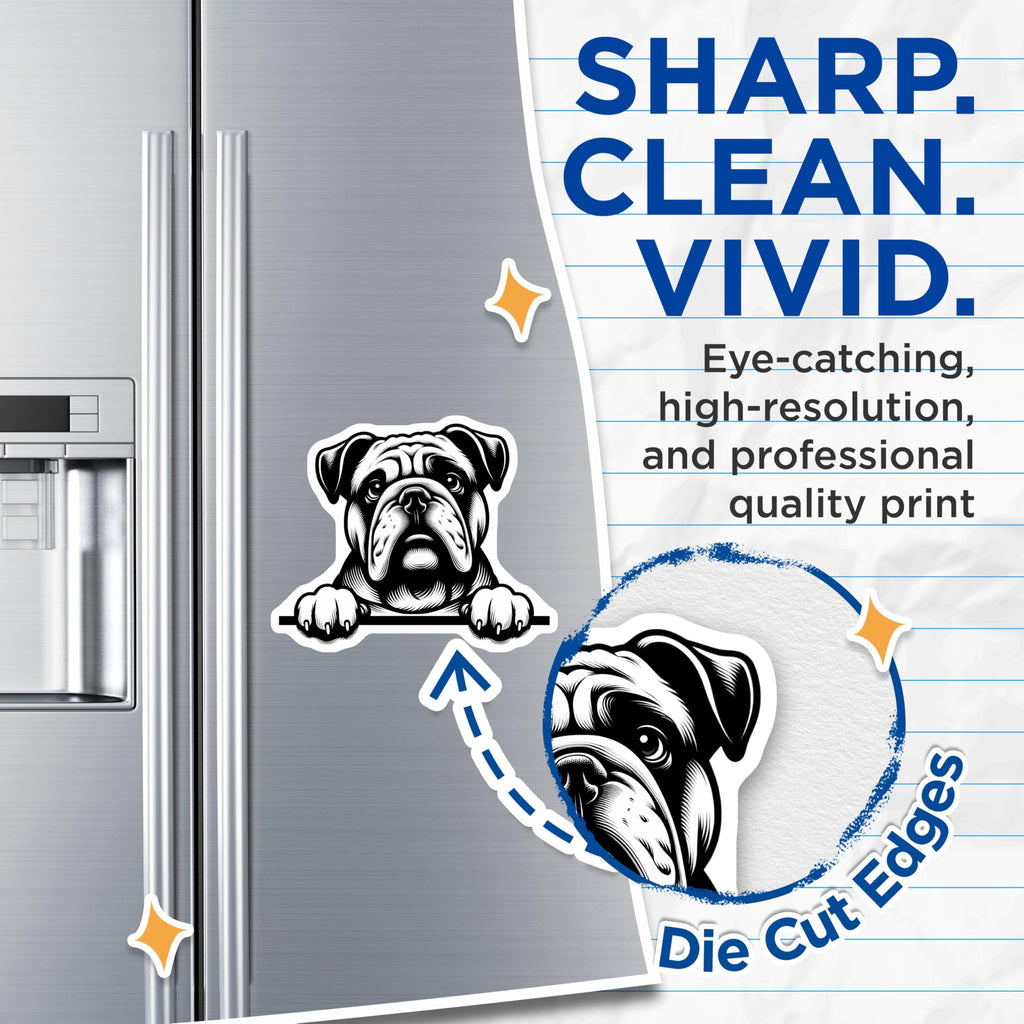 (2 Pack) Bulldog Magnets - Cute Dog Decor - Animal Lover Refrigerator Magnets - 5" On Longest Side - Premium Magnet - for Cars, Refrigerators, Toolboxes, Lockers - Made in USA - MAG14097