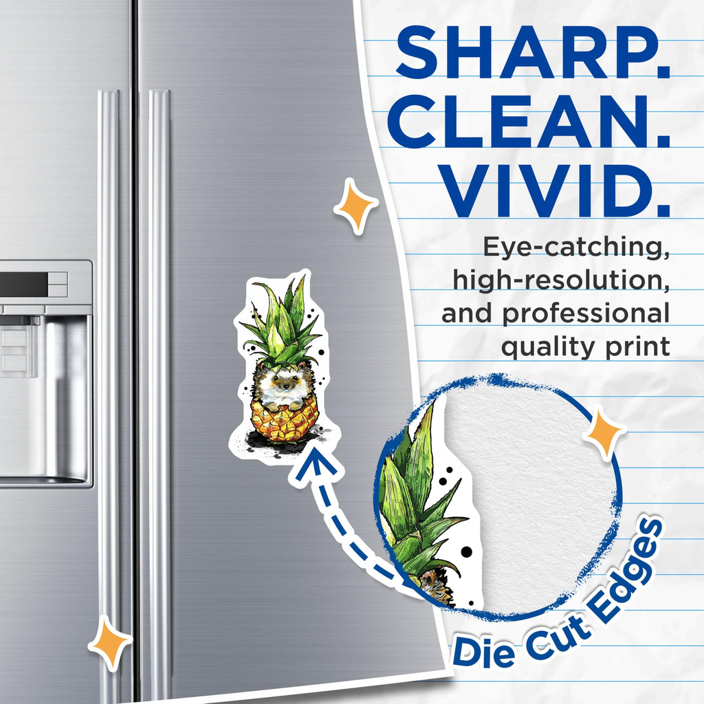(2 Pack) Hedgehog Pineapple Magnets - Cute Animal Decor - Fridge Locker Magnets - 5" On Longest Side - Premium Magnet - for Cars, Refrigerators, Toolboxes, Lockers - Made in USA - MAG16785