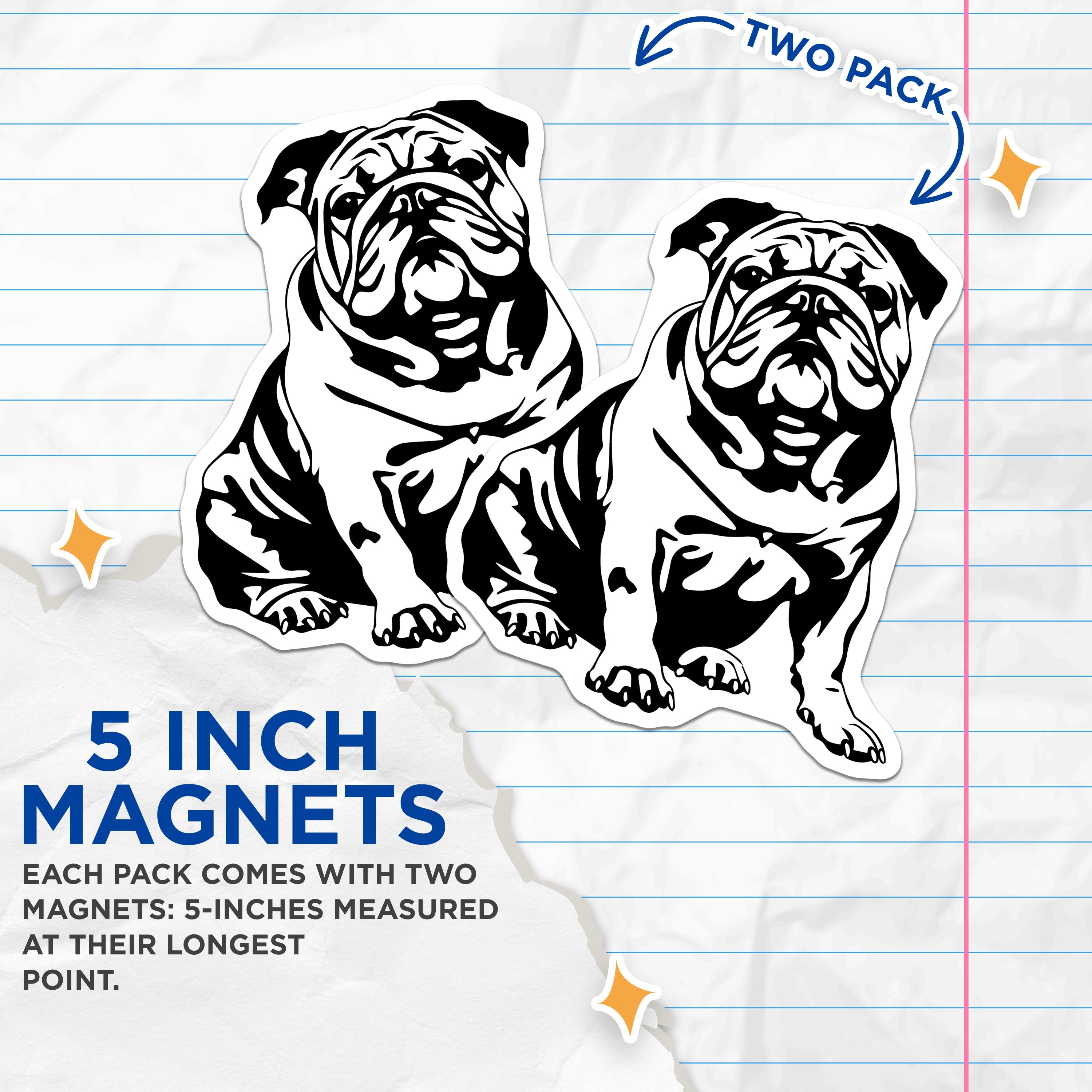 (2 Pack) English Bulldog Magnets - Dog Lover Refrigerator Decor - Pet Parent Kennel Club Style - Animal Breed Collectible - 5 Inches On Longest Side - Thick Durable Magnet - Made in USA - MAG37962