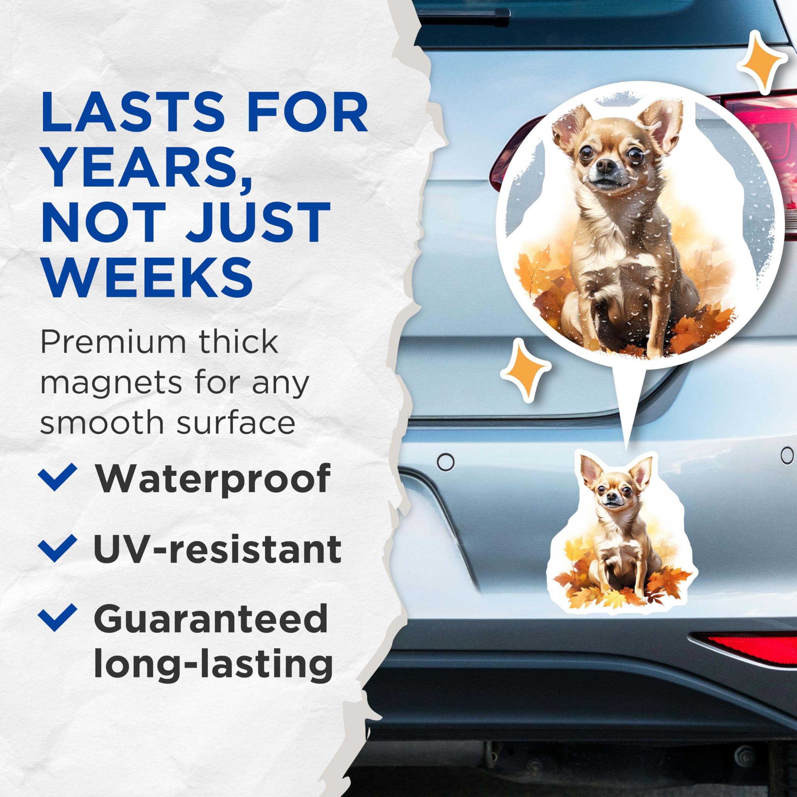 (2 Pack) Adorable Chihuahua Magnets - Fall Dog Art - Autumn Pet Lover Refrigerator Decor - 5 Inches On Longest Side - Thick Durable Magnet - Made in USA - MAG28972