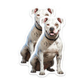 (2 Pack) White Pitbull Dog Magnets - American Bulldog Art - Pet Parent Refrigerator Decor - Dog Lover Accessories - 5 Inches On Longest Side - Thick Durable Magnet - Made in USA - MAG25019
