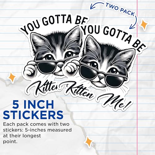 (2 Pack) Cat Lover Stickers - Funny Cat Stickers - Humor Sticker for Cat Owners - 5" On Longest Side - Sticks to Any Smooth Flat Surface - Made in USA - BMCS2794