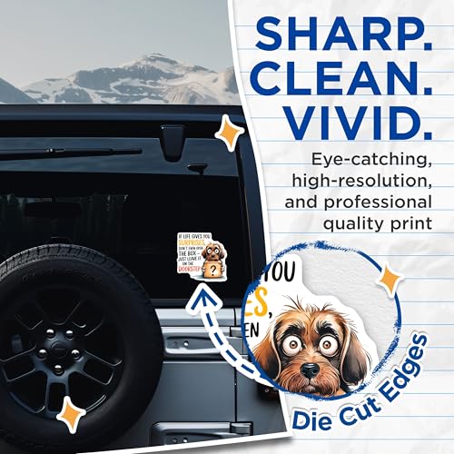(2 Pack) Life Gives Surprises Stickers - Funny Dog Meme - Uplifting Quotes - 5" On Longest Side - Sticks to Smooth Flat Surfaces - Made in USA - BMCS6059